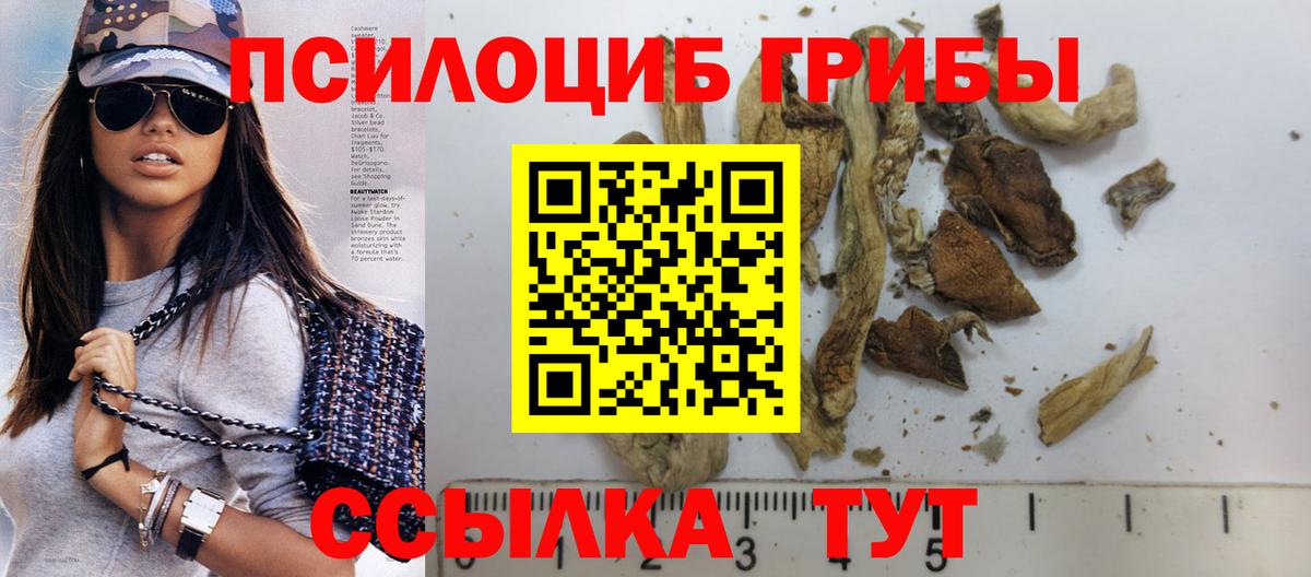 Каспийск  Псилоцибиновые грибы Psilocybine cubensis  Галлюциногенные грибы Psilocybe  Вход с VPN 